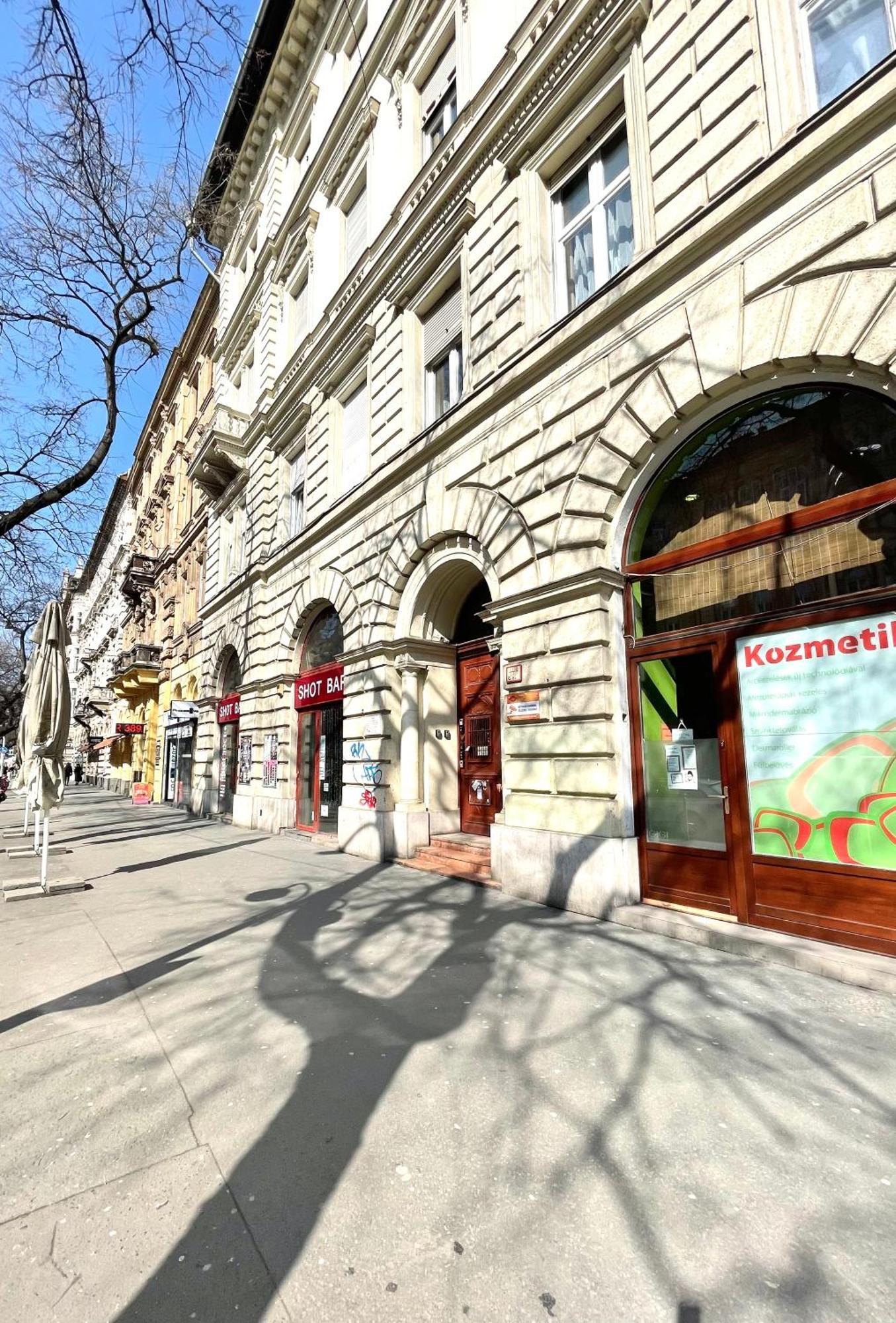 Amazing Swedish 3 Rooms Apartment In The City Center Budapest Exterior foto